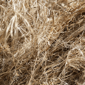 Etoupes-papetieres-flax-Saneco-paper-short-fiber