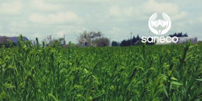 7-juin-rapport-de-recolte-saneco-lin
